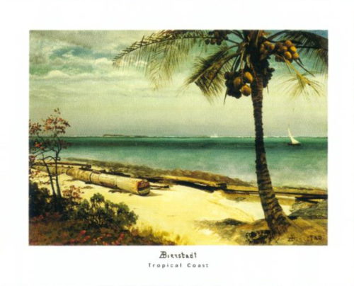 Tropical Coast - Open Edition Print by artist Albert Beirstadt