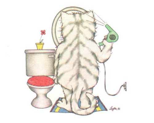 Hairdryer Cat - Open Edition Print by artist A Langston