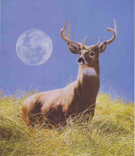 Moonstruck - Limited Edition Print by artist Bob Travers