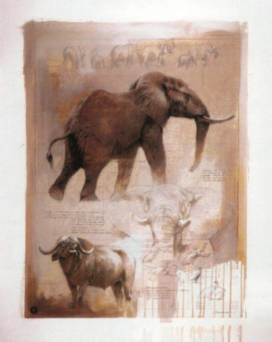 Elephant & Water Buffalo - Open Edition Print by artist Kim Donaldson
