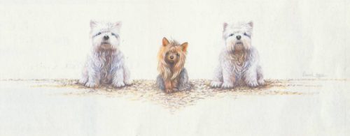 Threes Company - Open Edition Print by artist Warwick Higgs