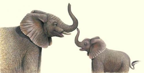 Trunk Call - Open Edition Print by artist Warwick Higgs