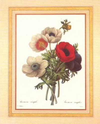 Floral 4 - Open Edition Print by artist Redoute