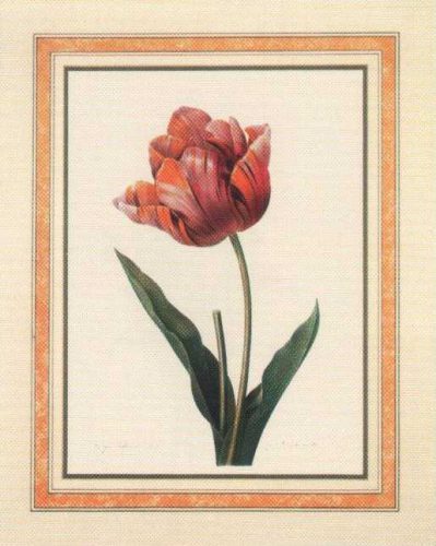 Floral 5 - Open Edition Print by artist Redoute