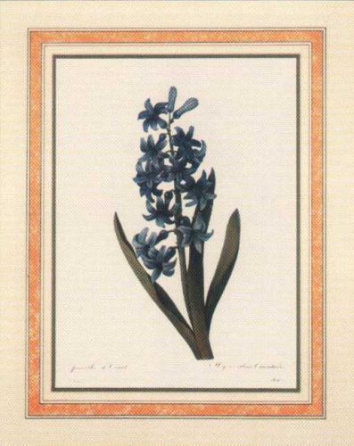 Floral 8 - Open Edition Print by artist Redoute