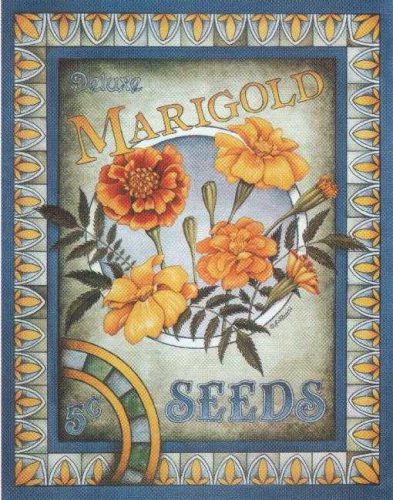 Marigold - Open Edition Print by artist L Egleston