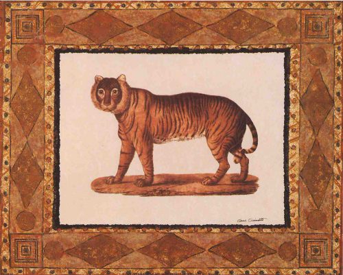Tiger - Open Edition Print by artist Ouimette