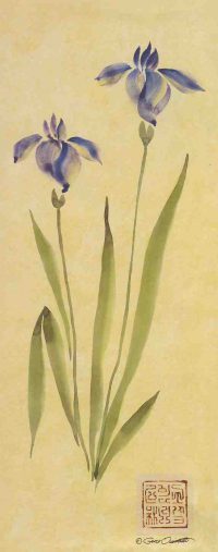 Irises - Open Edition Print