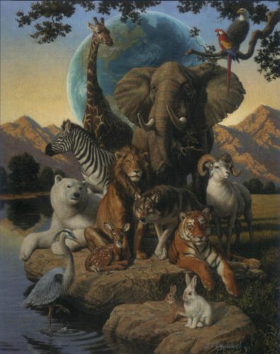 African Animals - Open Edition Print by artist J Himsworth