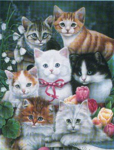 Kittens 1 - Open Edition Print by artist J Newland