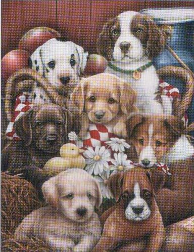 Puppies 2 - Open Edition Print by artist J Newland