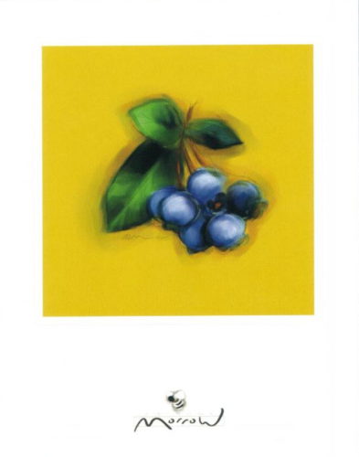 Blueberries - Open Edition Print by artist Anthony Morrow
