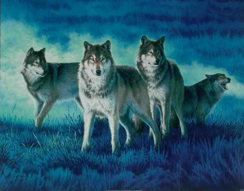 Wolves 1 - Open Edition Print
