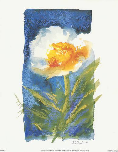 Floral 5 - Open Edition Print by artist Nel Whatmore