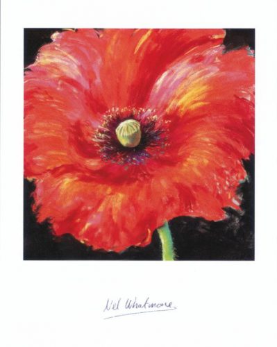 Poppy Red - Open Edition Print by artist Nel Whatmore