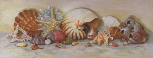 Shells - Open Edition Print by artist N Wiseman