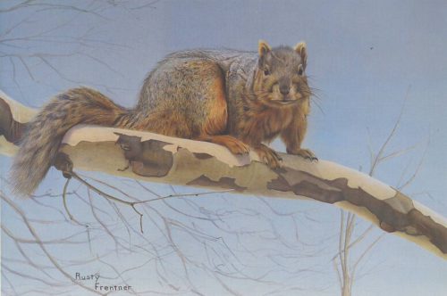 Are You Nuts - Limited Edition Print by artist Rusty Frentner
