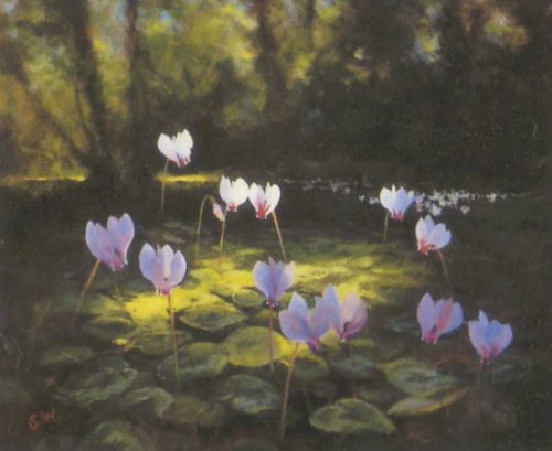 Cyclamen Clearing - Open Edition Print by artist Stanley Woolston