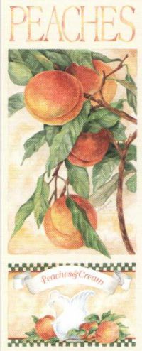Peaches - Open Edition Print by artist Vicky Howard