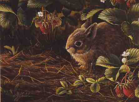 Young Cottontails & Strawberries - Limited Edition Print by artist Wilhelm Goebel