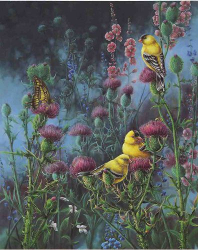 Wings of Gold - Limited Edition Print by artist Wanda Mumm