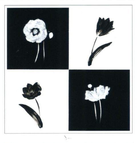 Tulip & Pansy - Open Edition Print by artist Yuna